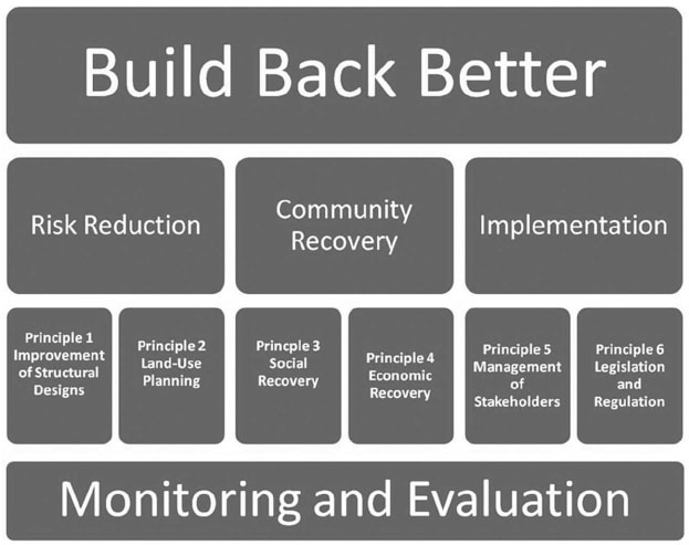 Let’s Build Back Better