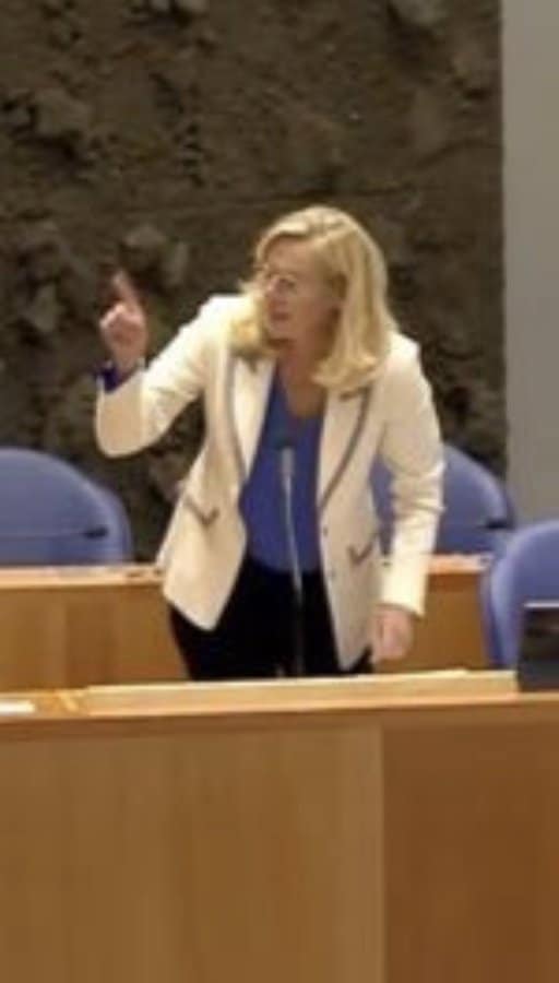 De globalistische bezetting